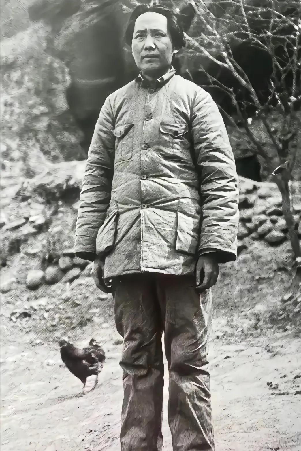 这是一张毛主席在延安窑洞里的照片。他身穿补丁的衣服，就是这样朴素的人，把中国的命