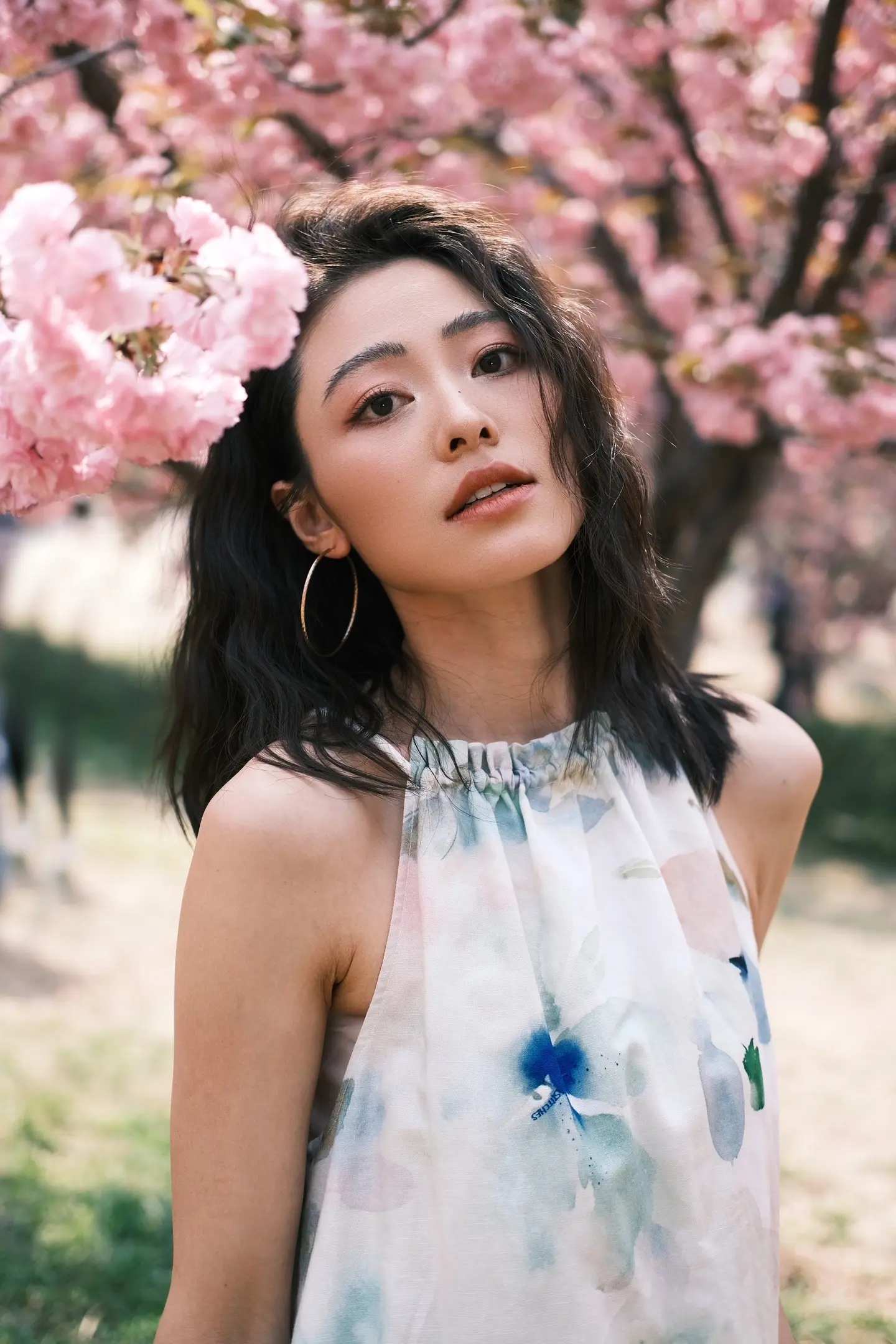 春天，只为花忙。北京的春天再久一点吧
到处都是花的地方太美啦
让人看了就心情很美丽
世界都变美好了