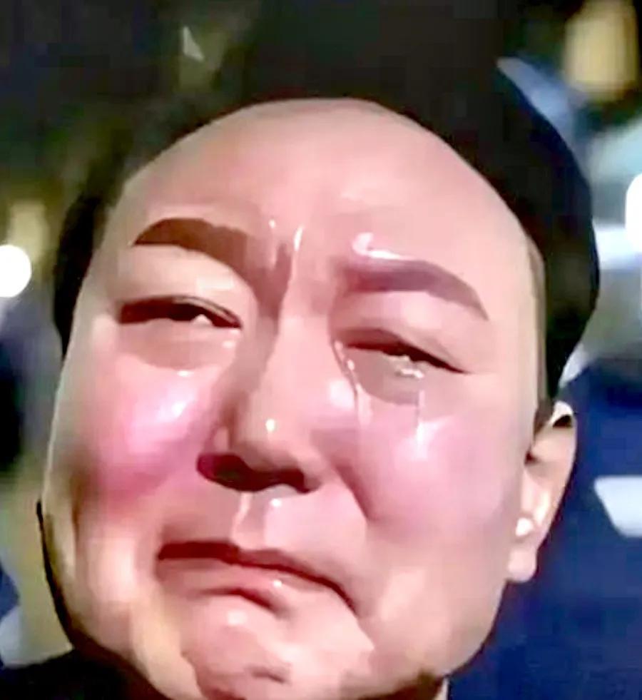 早知今日，何必当初？丢人现眼！

据韩媒报道，韩国执法人员前往拘留所执行对尹锡悦