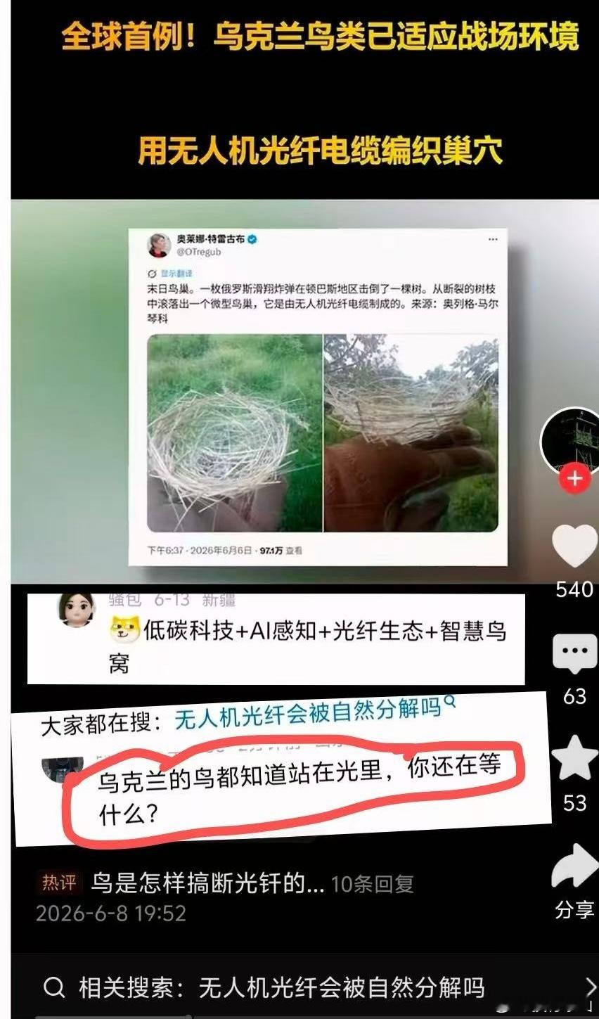 鸟都站在光里了，你还在等什么