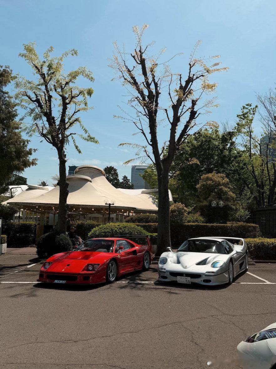 天气好的周日东京不会让人失望🙈 日本·东京