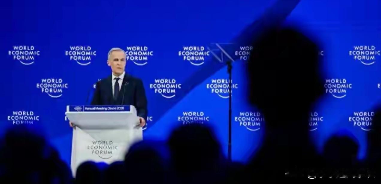 全场起立！加拿大总理达沃斯现场炮轰美国：收起你的霸权行径！

达沃斯年会本来是个