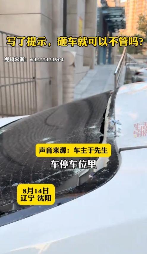 “飞来横祸！”8月14日，辽宁沈阳，一男子将车停在车位里，结果，一块石头从天而降