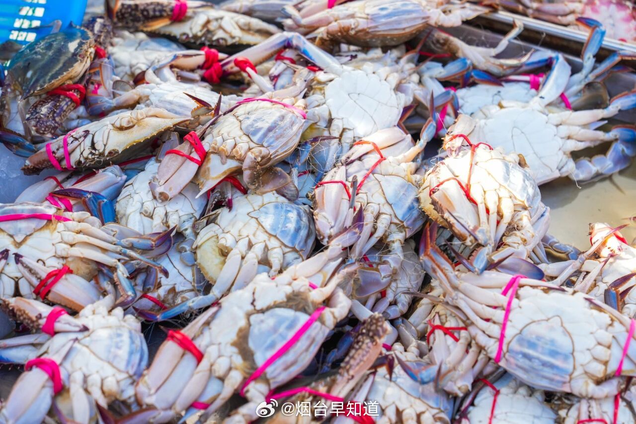 烟台幸福河市场有多好逛 当个纯过日子人！周末不逛景点和商场，一头扎进烟台幸福河市