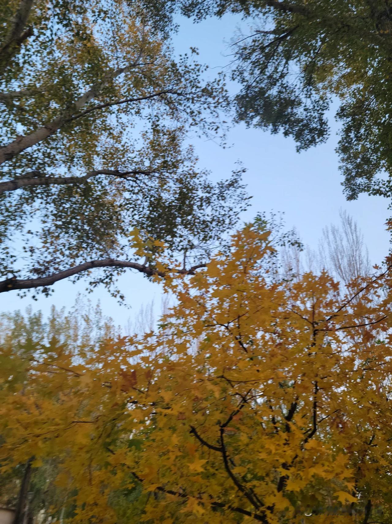 去某银行办理一笔业务，支行行长非常热情，还把我送回家，还有积分礼品。让我惊诧的是