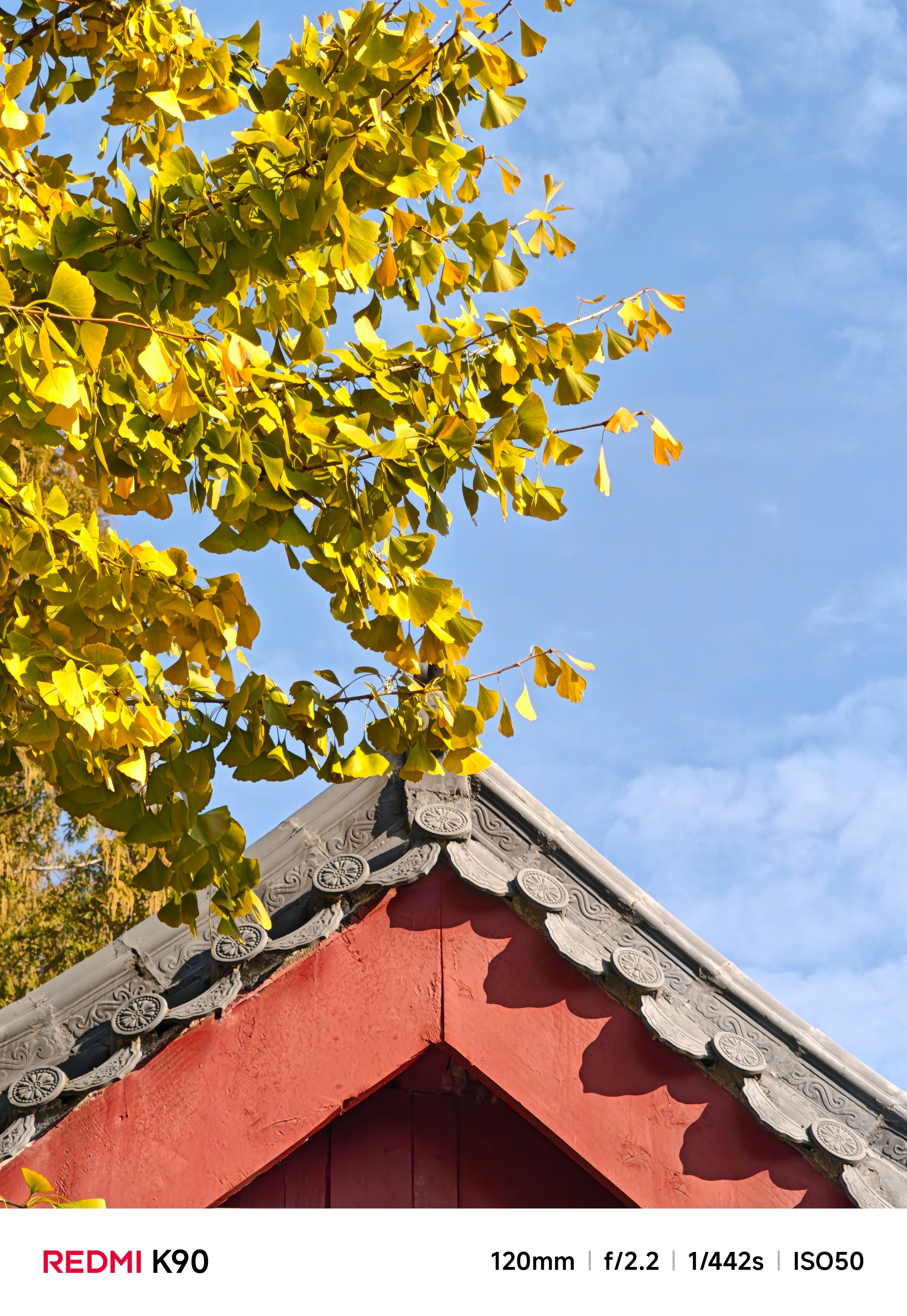 这是我们使用 REDMI K90 拍摄的样张。这一代 K90 的升级非常简单：加