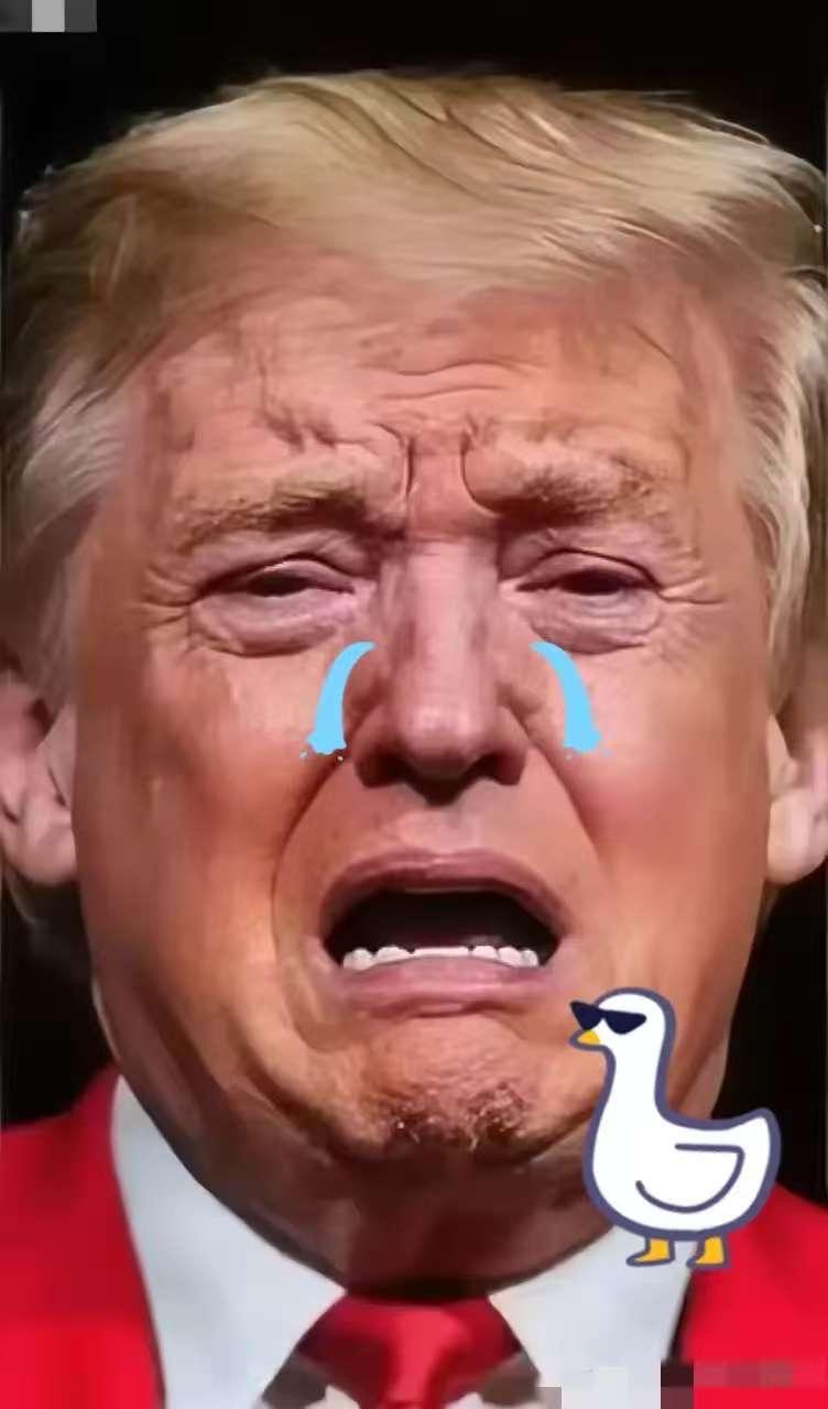 就在刚刚
美国参议院宣布
11月5日，隔夜全球市场堪称冰火两重天——参议院4日再