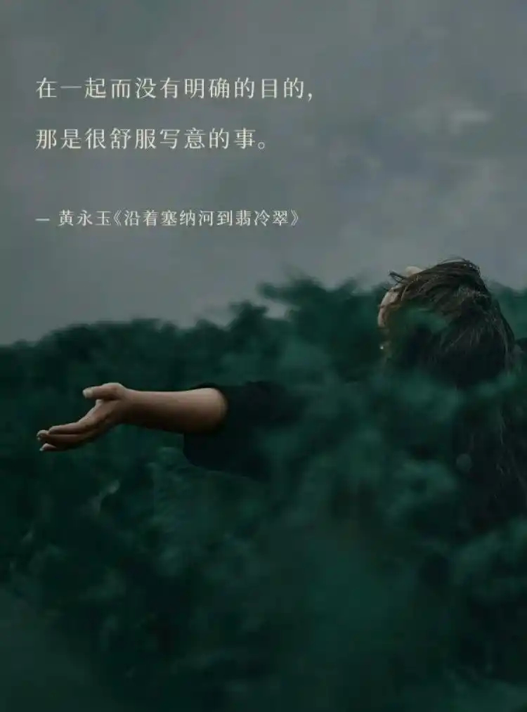 深夜读书，无意中看到这句话[微风] 