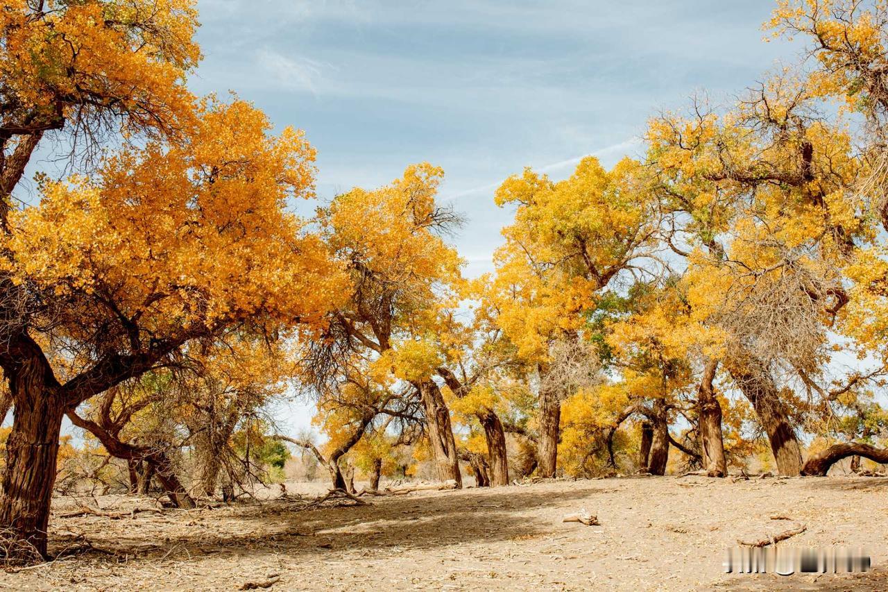 人生苦短，不过三餐四季、烟火流年，不必困于执念、囿于遗憾。与其纠结过往对错、焦虑