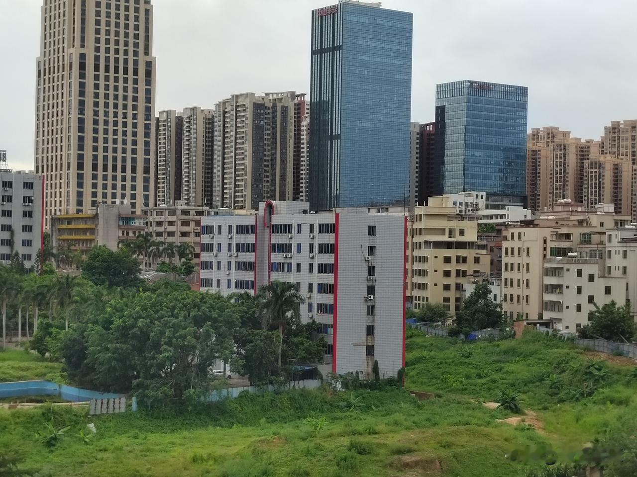去年因为蚊灾产生“基孔肯雅热”疫情，在防疫灭蚊的要求下，湛江市区很多地方都进行消