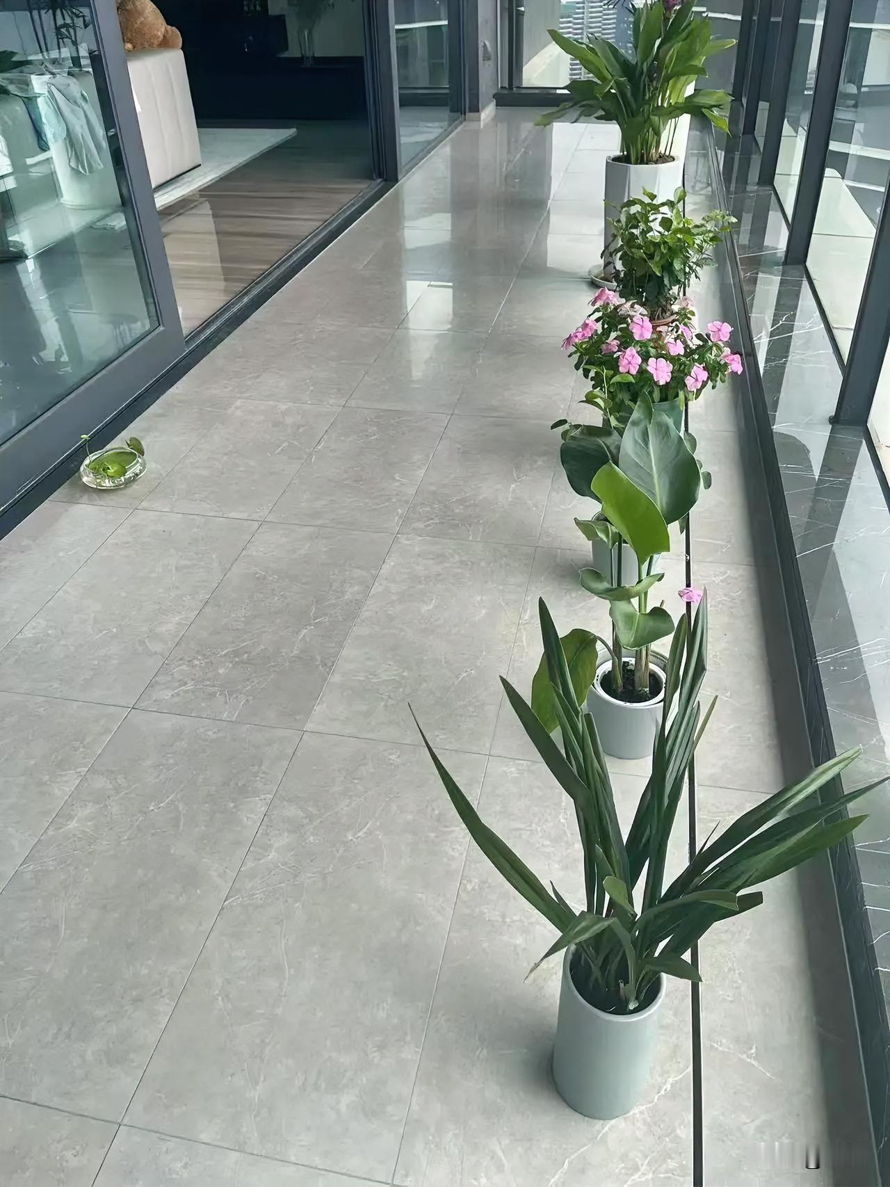 今天忙碌了一天，终于可以静下心来休息一会儿。生活就是这样，每天都有新的挑战和收获