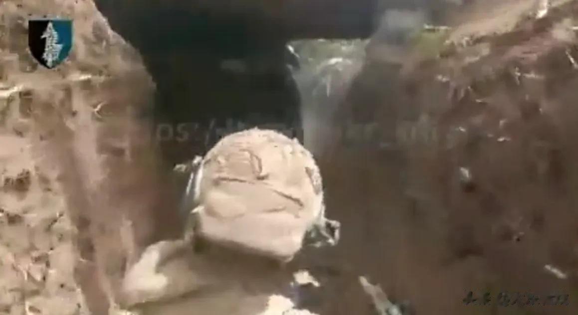 乌克兰特种作战部队的士兵从俄军后方进入敌人的战壕，消灭了 10 名俄罗斯士兵，在