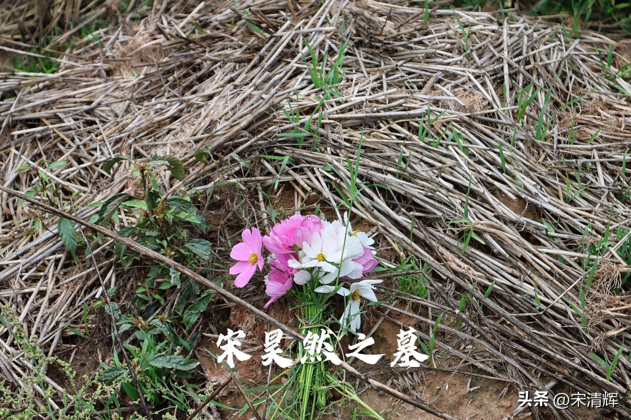 （1589）：4月2日，许昌法院选择的一审宣判日子真好，孩子的坟茔都荒芜了，又到