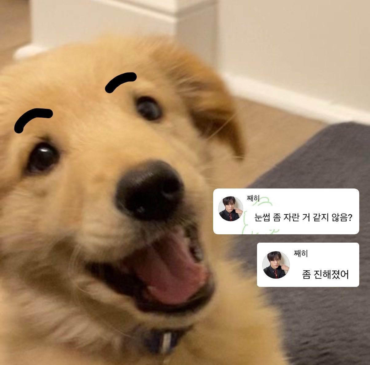 눈썹 좀 자란 거 같지 않음?좀 진해졌어 ..아 예.패스. ​​​