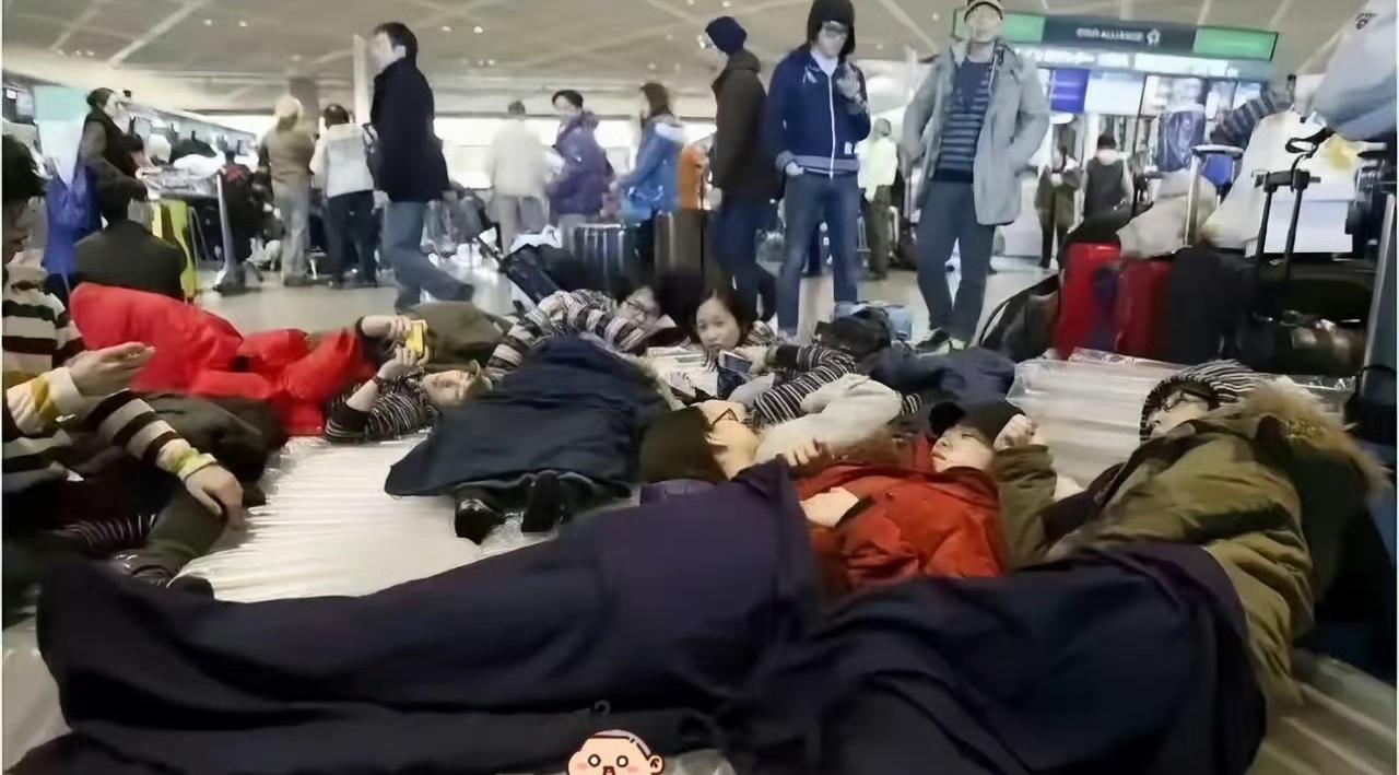 对于滞留在日本机场的那1万2，我是说啥都不带心疼的，相反还想告诉他们大鹅怎么叫—
