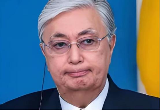 哈萨克斯坦总统托卡耶夫在访问日本演讲中说道：“历史已经证明，全球稳定的形成不仅取