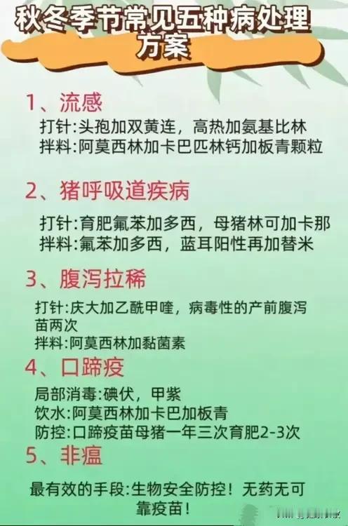 #健康农牧# #养猪事业部# 
    兽医都不一定告诉你，秋冬季节这几种猪病预