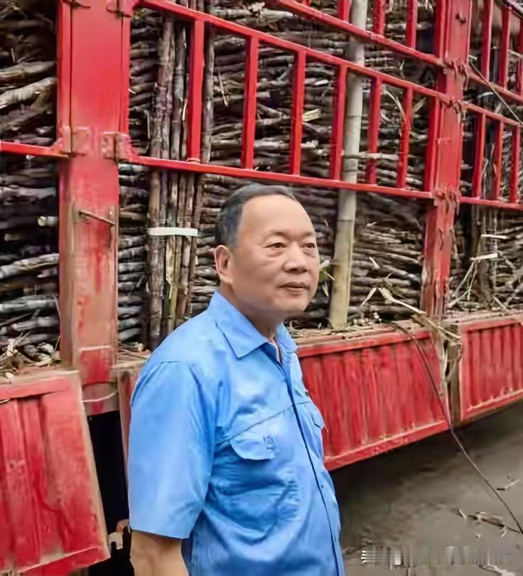 广东一家叫耀明的糖厂，最近立了个新规矩。来送甘蔗的大货车，只要在门口排队，每吨货