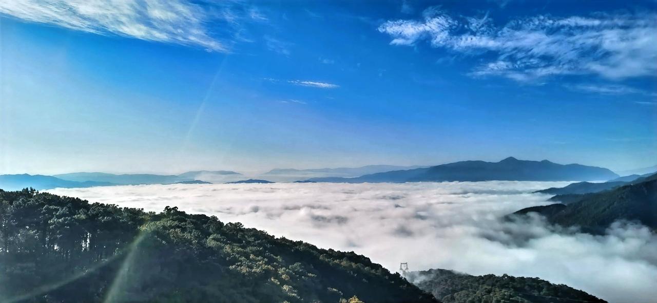 云海之上，仙境人间，远山如黛，近树如墨。当我踏入这如梦似幻之境，微风轻拂，送来丝