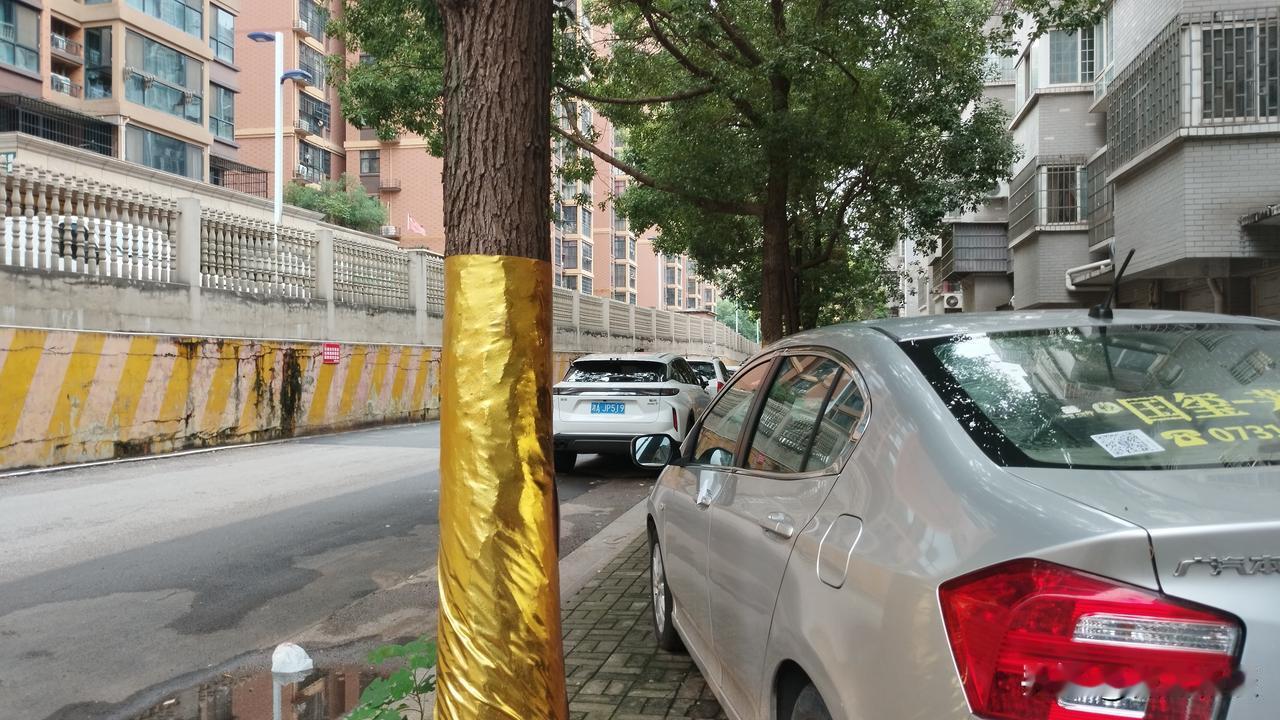 警惕市面上冒牌MCN培训机构，我的亲身经历
 
今天刷到今日头条关于MCN机构的