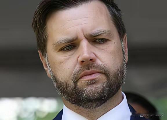 万斯曾暗示中国，如果不接受关税，就考虑战争。话音未落，中国学者高志凯就在国际辩论