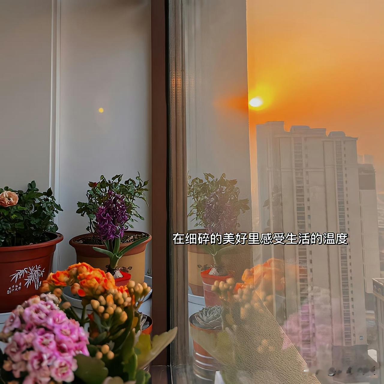 [彩虹][微风][耶]
忠于内心，
敢于为自己的选择负责，
也敢于追求想要的生活