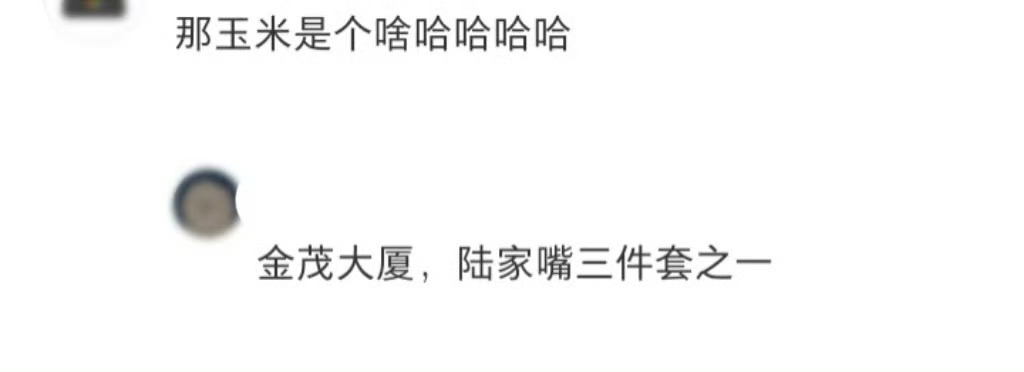 中国留学生写差评的方式太隐晦了天气太热只能在上海逛逛 