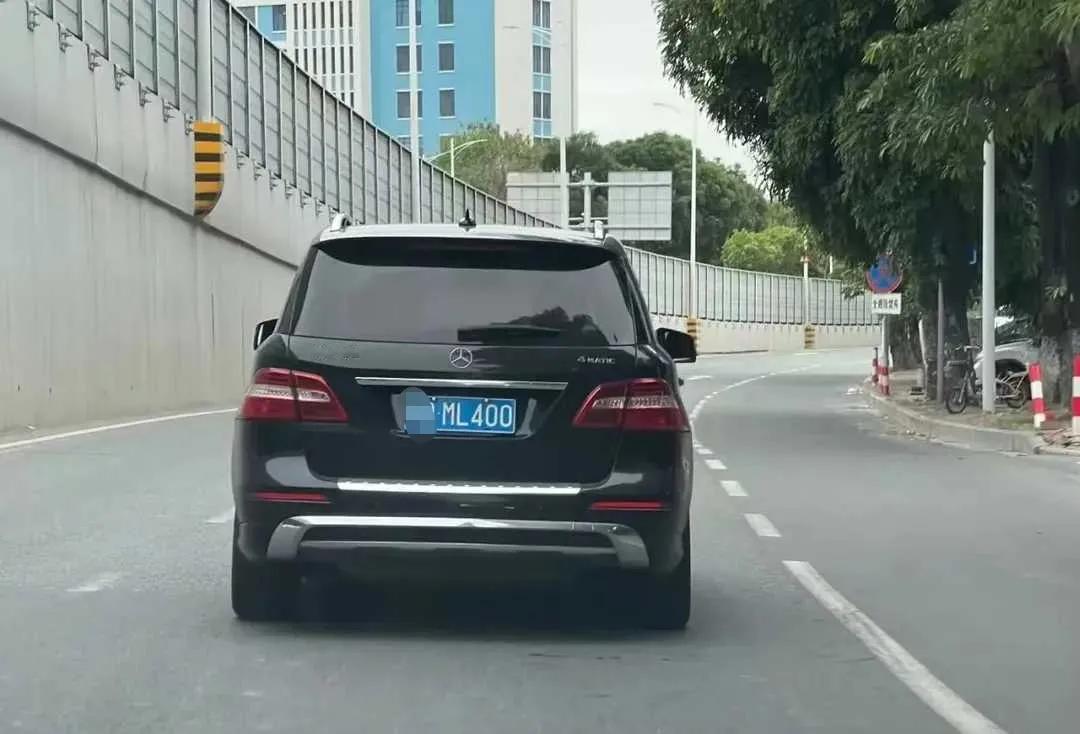 网友：选不到顺子豹子号，选个跟车型一样的也不错啊。