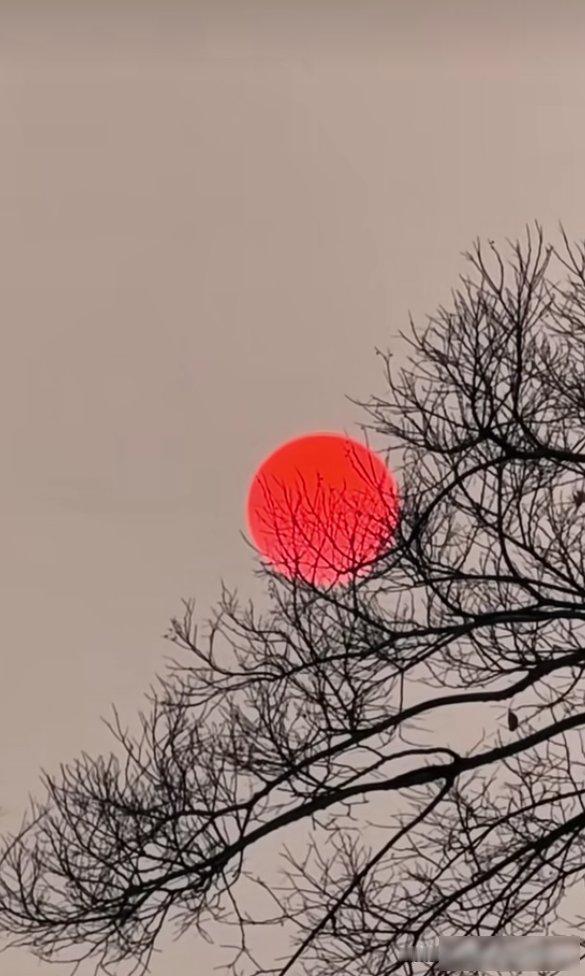 难怪老师寿命不长，照我们单位这种干法，很多教师退休后，决不可能有好身体，短命的较