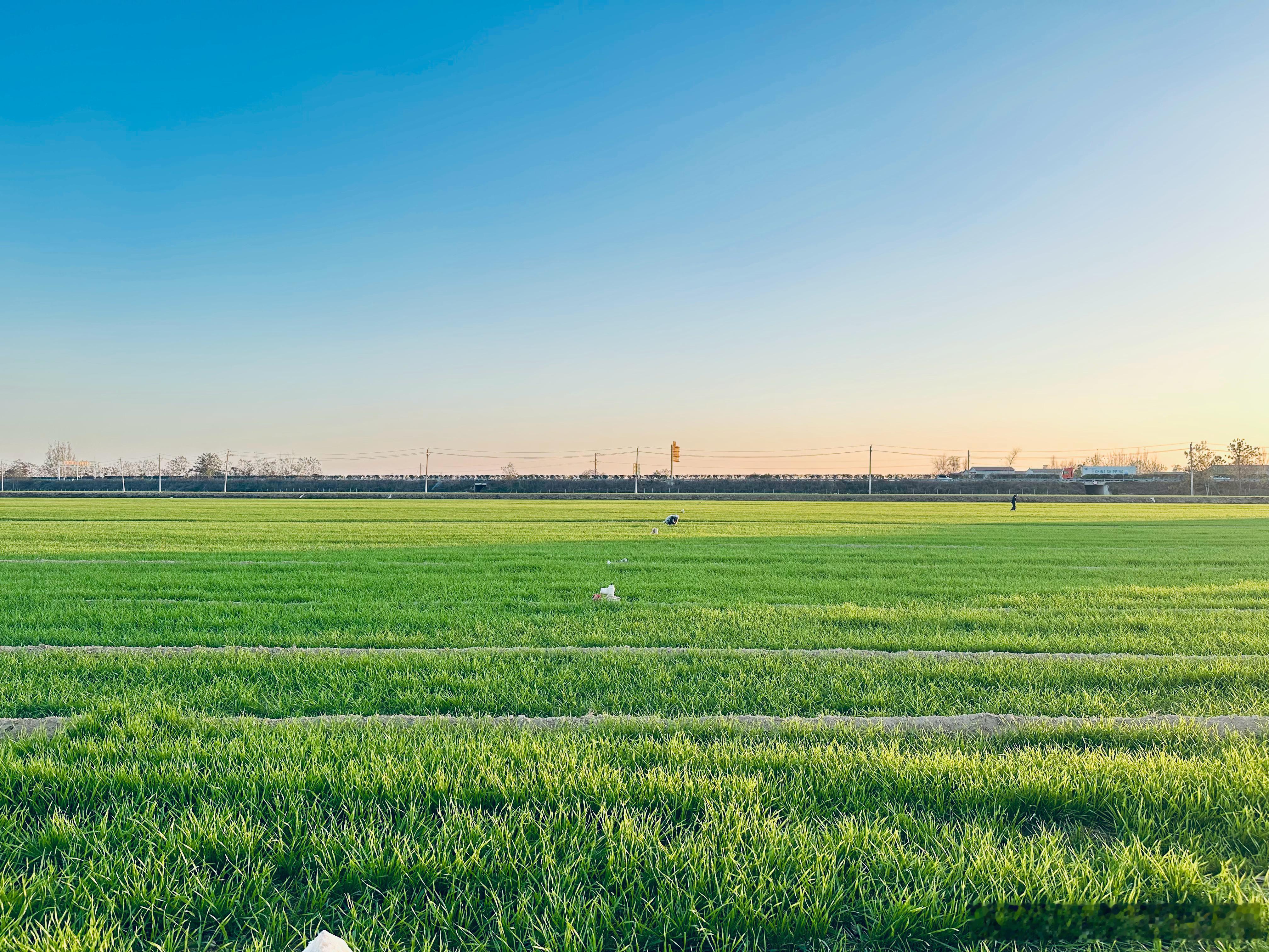 周末回老家逛逛，躁动的心一下就安静了[哈哈] 