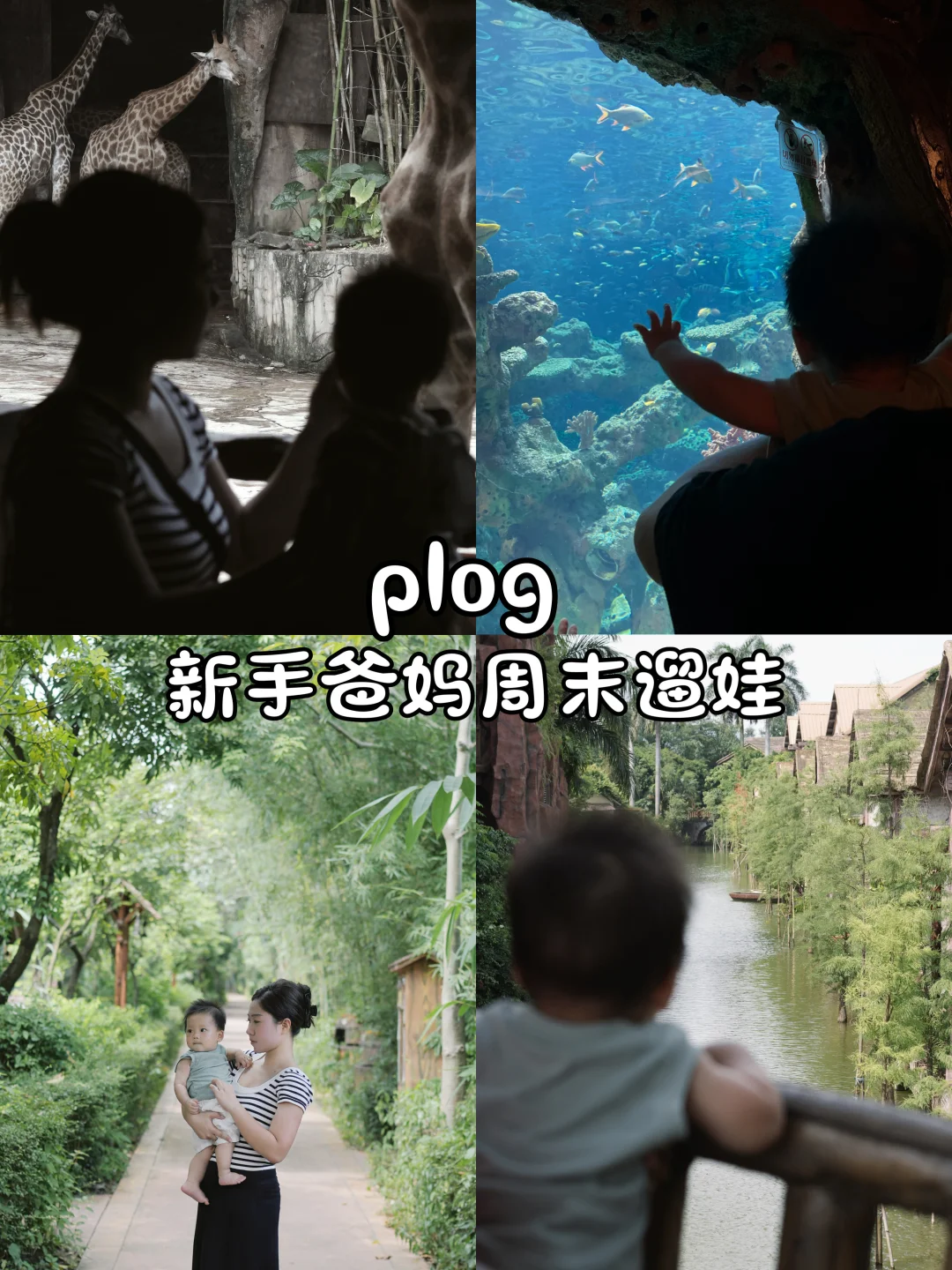 夏日美育｜和动物见个面🦒🐘🐟
