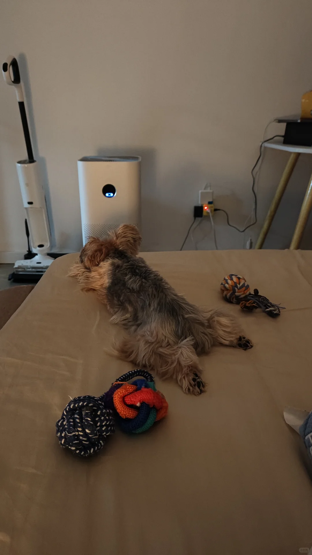可以看看你们的床搭子吗