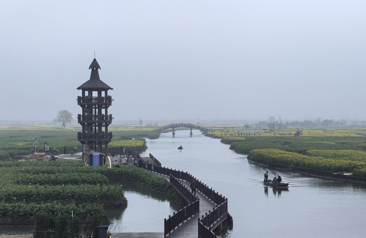 春天是观赏油菜花的好季节，最壮观的是江西的婺源和江苏的兴化。今天我在兴化的千垛，