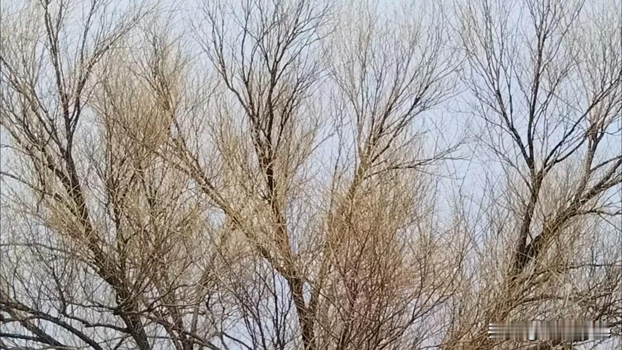 画了淡妆的少妇



爱美之心，人皆有之。特别是女人不论年纪多大，爱打扮是伴真终