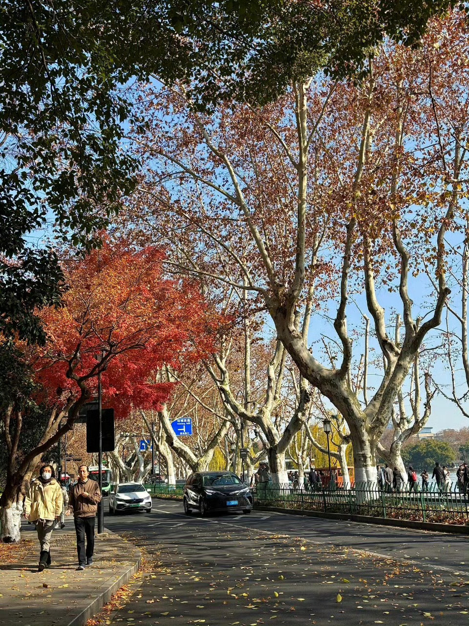 我好像邂逅了杭城慢生活 我漫步于杭州的古街巷，品味着茶香，仿佛融入了这里的慢生活