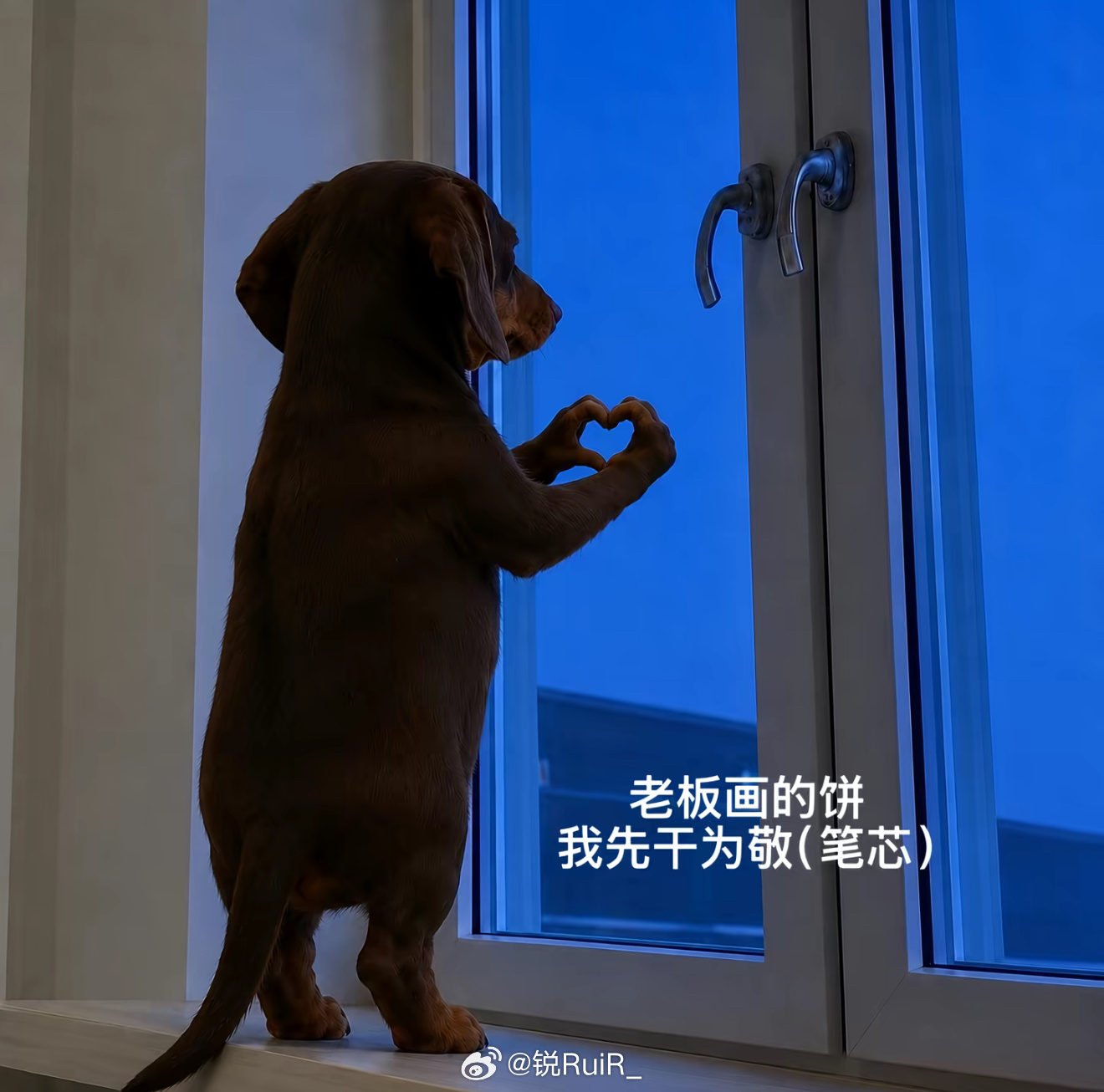 基于上半年的频繁操作经验教训这个月只搞了一个票 一动不动…做王八希望明天爸爸们给