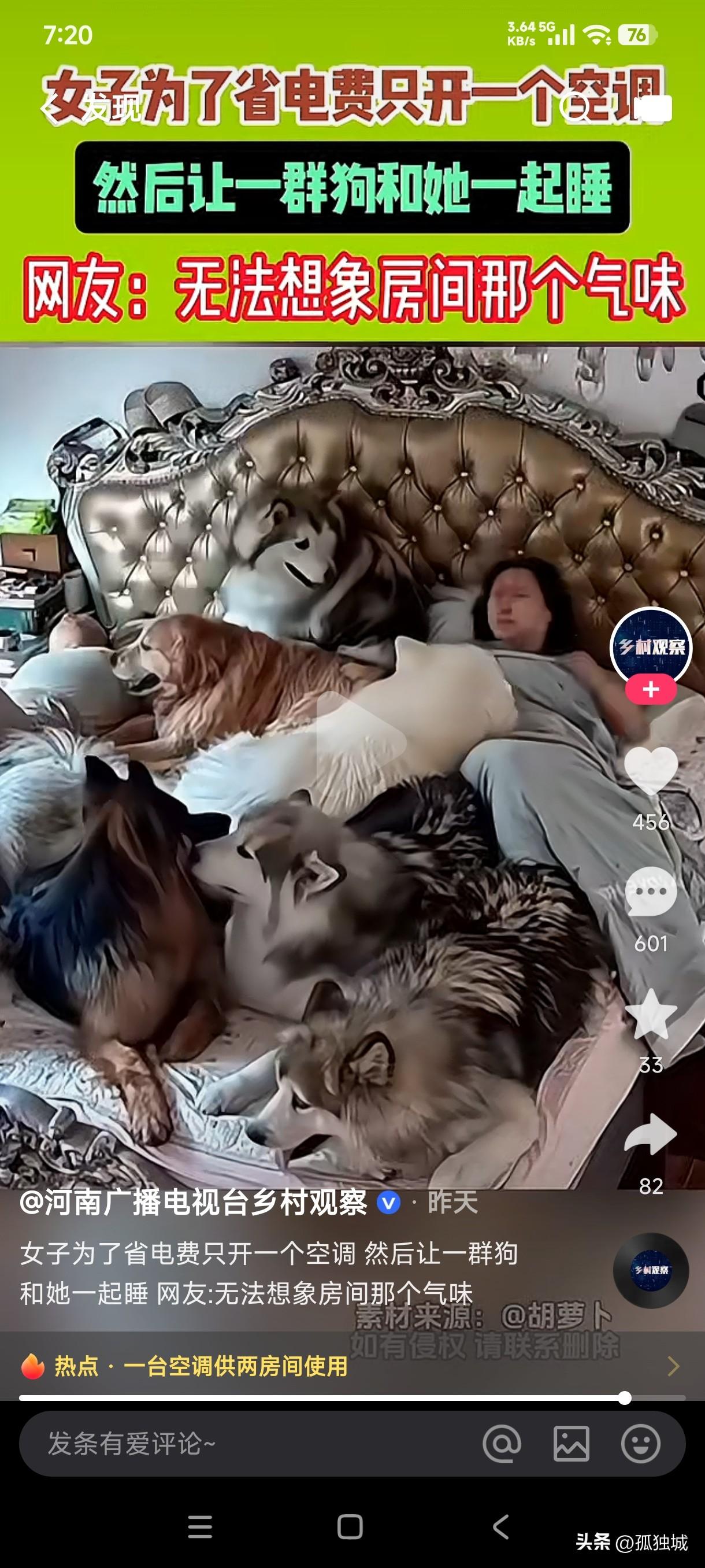 谁见过人狗一床的？而且还是一群狗……
女子为了省电费只开一个空调，她让一群狗居然