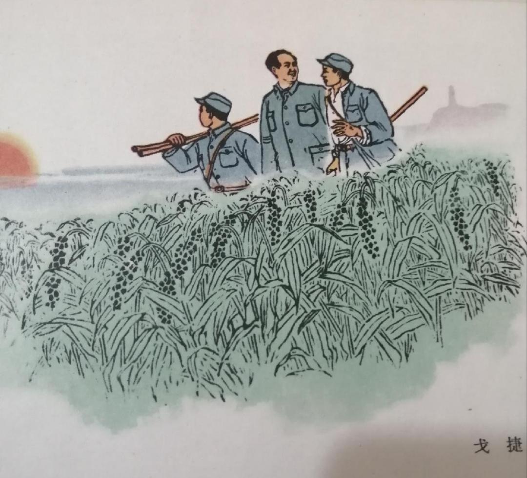 同行