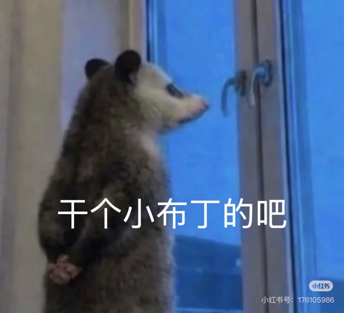 今天太拼了，干了六小时电脑前的活，得吃碗臊子面犒劳下自己！ 
