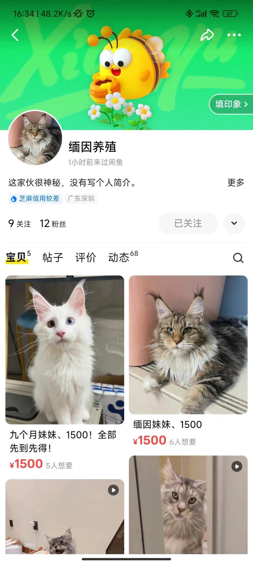 咸鱼买猫 小心被骗