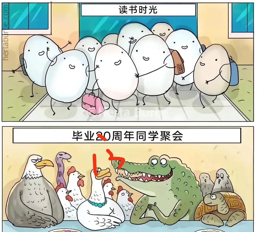 读书的时候，大家都是一个蛋，等毕业多年后，为什么孵化出来都不一样？是什么原因造成