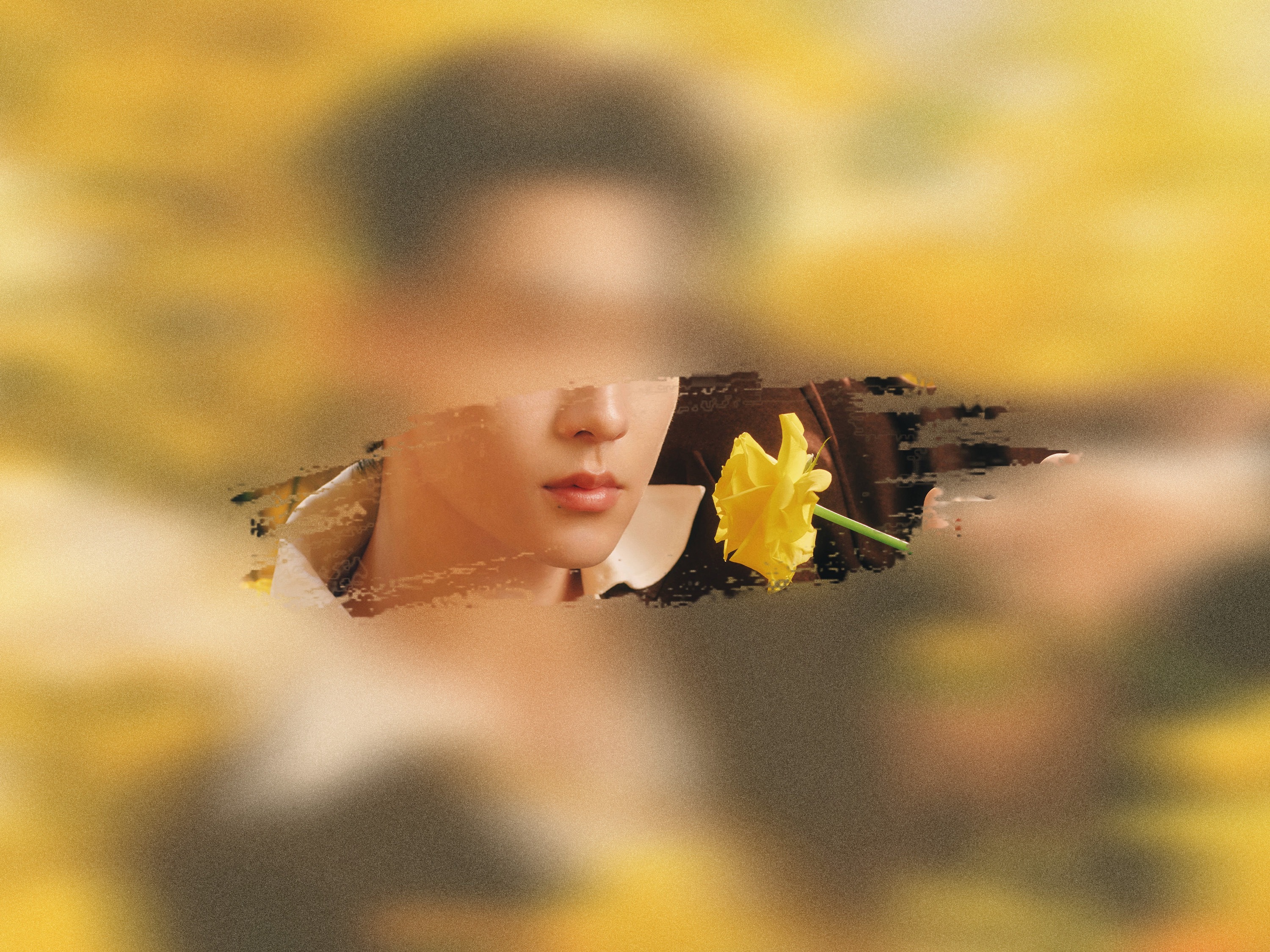 黄玫瑰💛💛 💛 