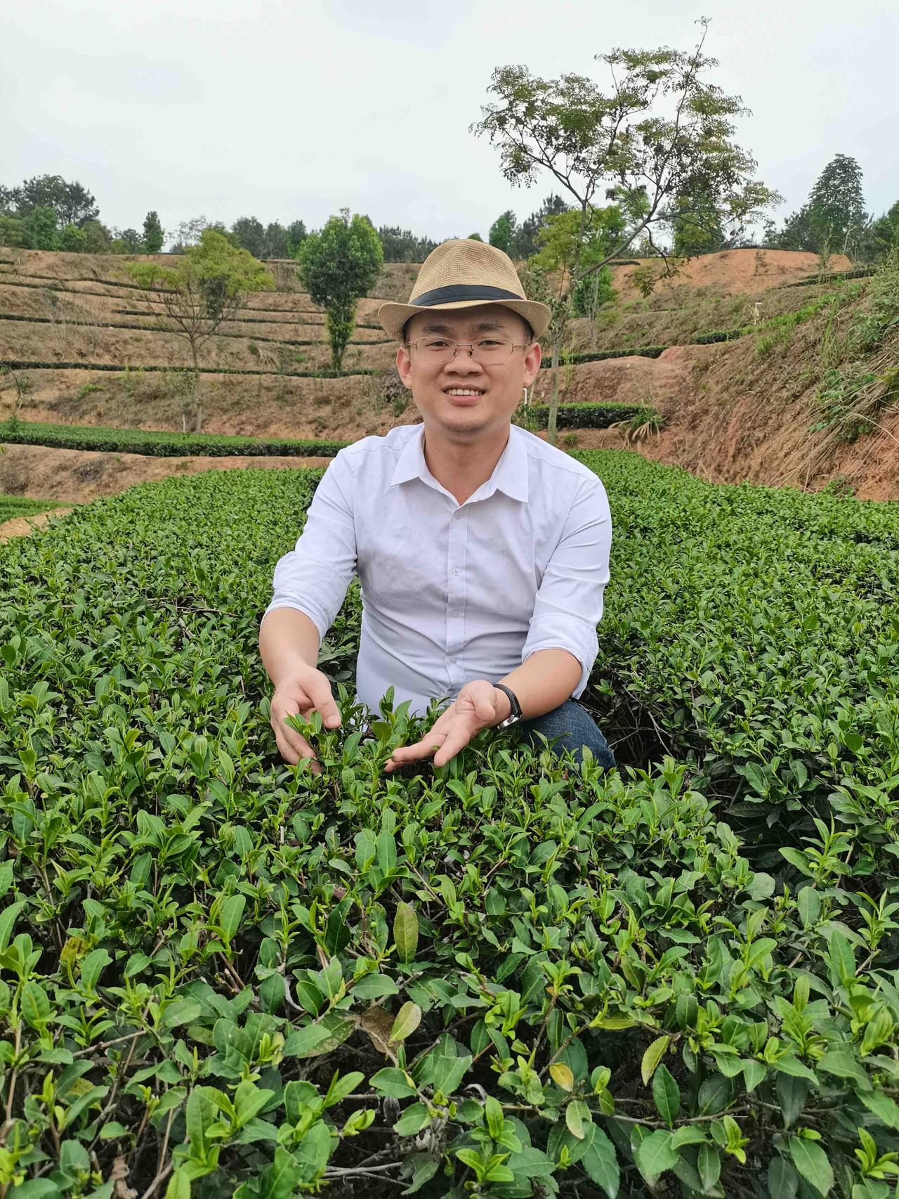 终于找到铁观音源头茶厂！批发价太香了，终于找到铁观音源头茶厂！批发价太香了！
还