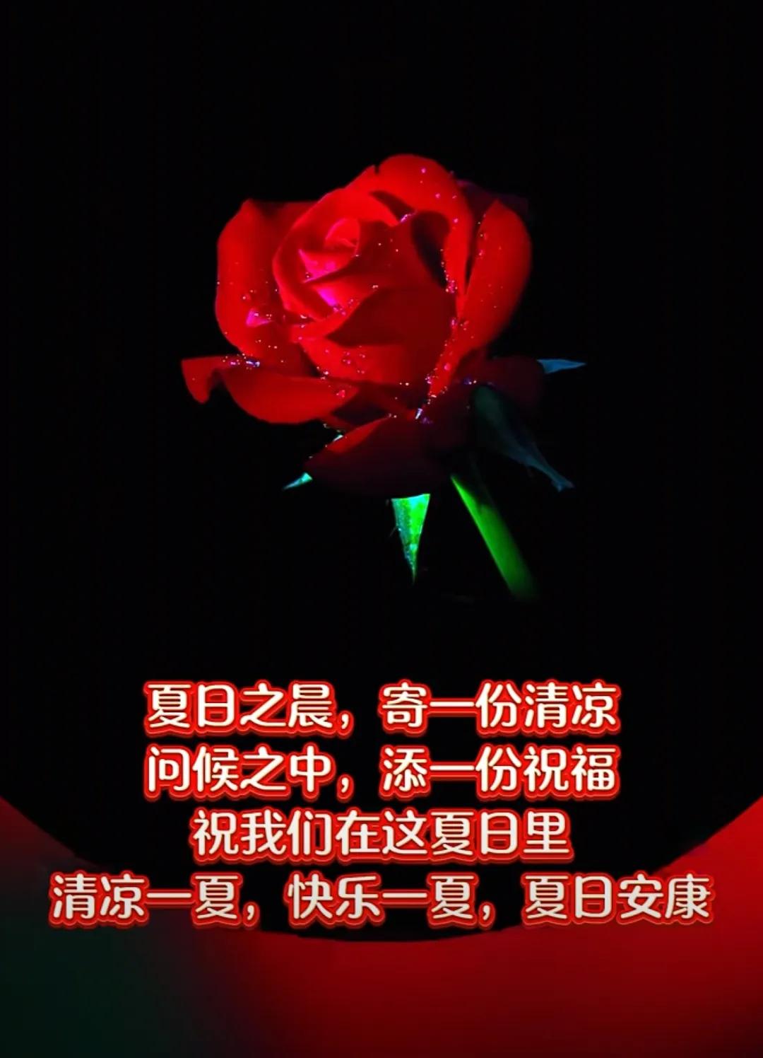 人生真的快樂，
不是長聚之歡，
而是久處不散，
無論多久不見，
心中總是牽掛，