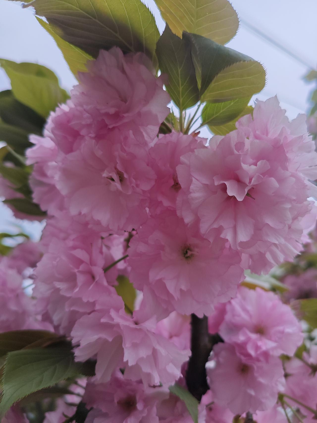 贪嗔痴为人生三毒，缠缚身心，令人迷失本心。贪于名利声色，所求无度；嗔于不顺境遇，