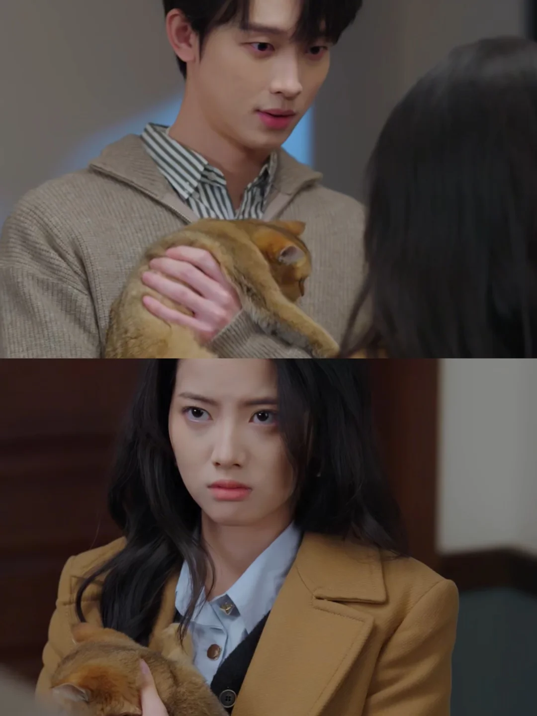 女机长×管制主任，宿命感拉满的双强cp！