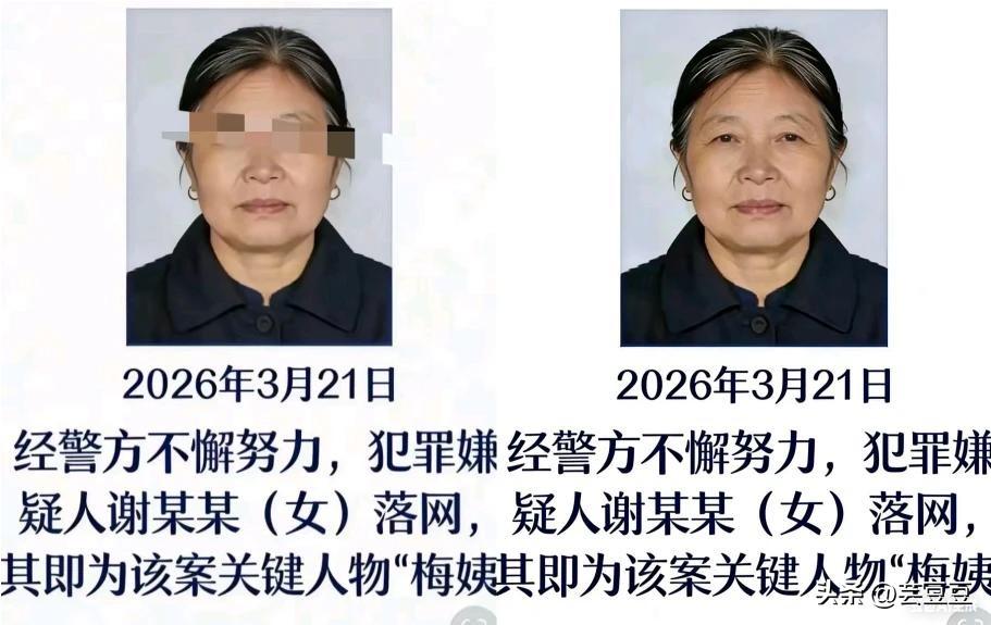 和梅姨同居三年的男友
终于开口了
一番话揭开了她最可怕的伪装，竟然越想越

让人