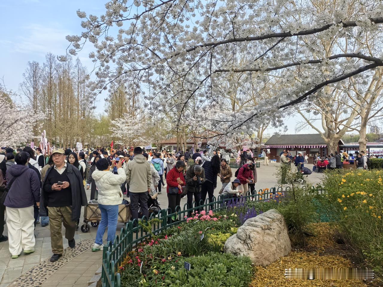 我的摄影技术怎样？欢迎各位指导（摄于玉渊潭公园）
