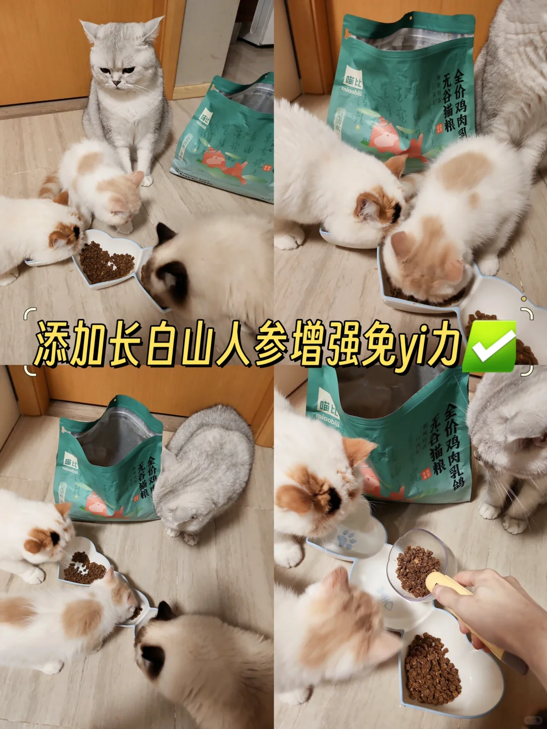 虽然你是外国佬但生活在中国就要吃草本粮