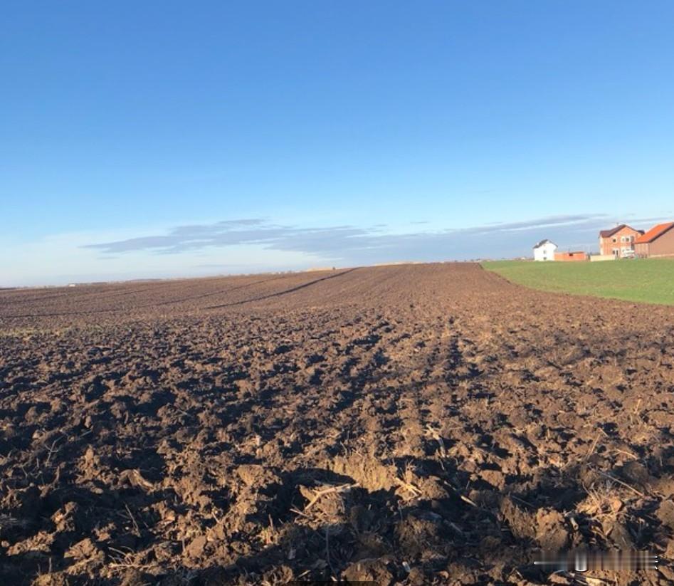 邯郸，李会林在2012年承包了四亩地，当年被征收后，工作人员就把88万补偿款转给